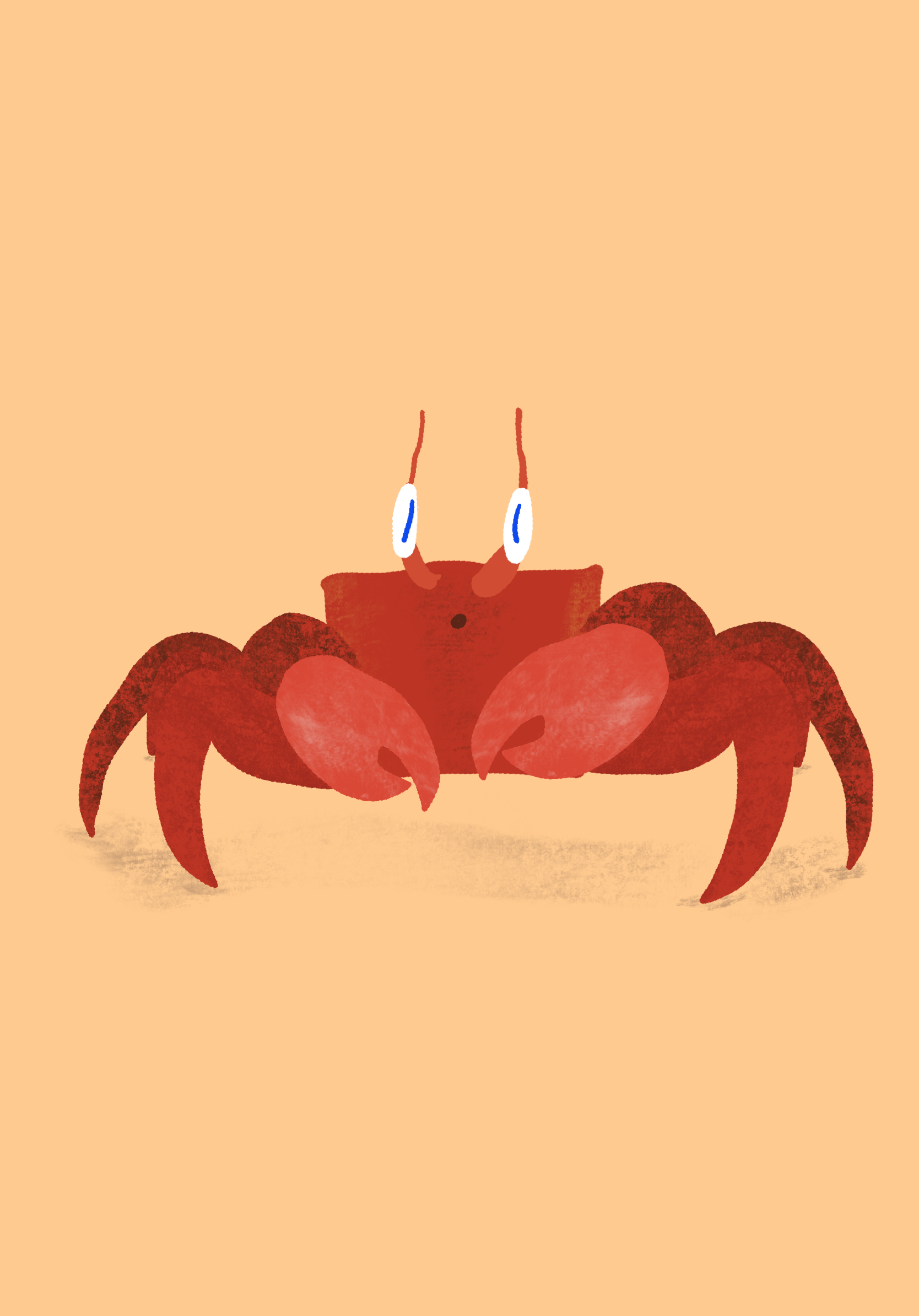 Crab illustration